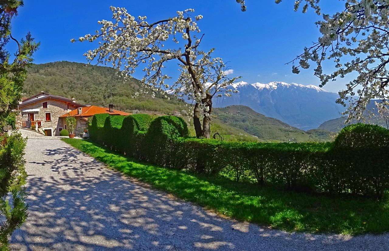 Casa Belvedere Garden by Gardadomusmea Tremosine Eksteriør bilde